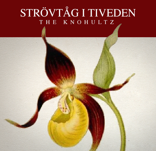 Strövtåg_01